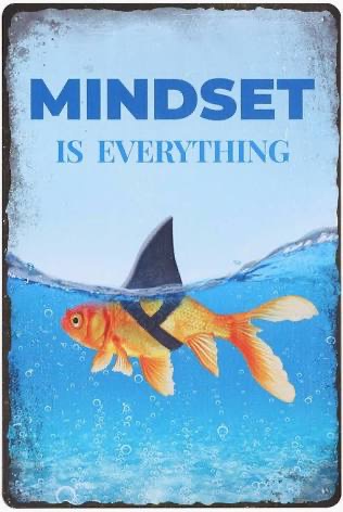 vis met haaivin op de rug